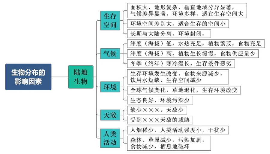 图片11.jpg