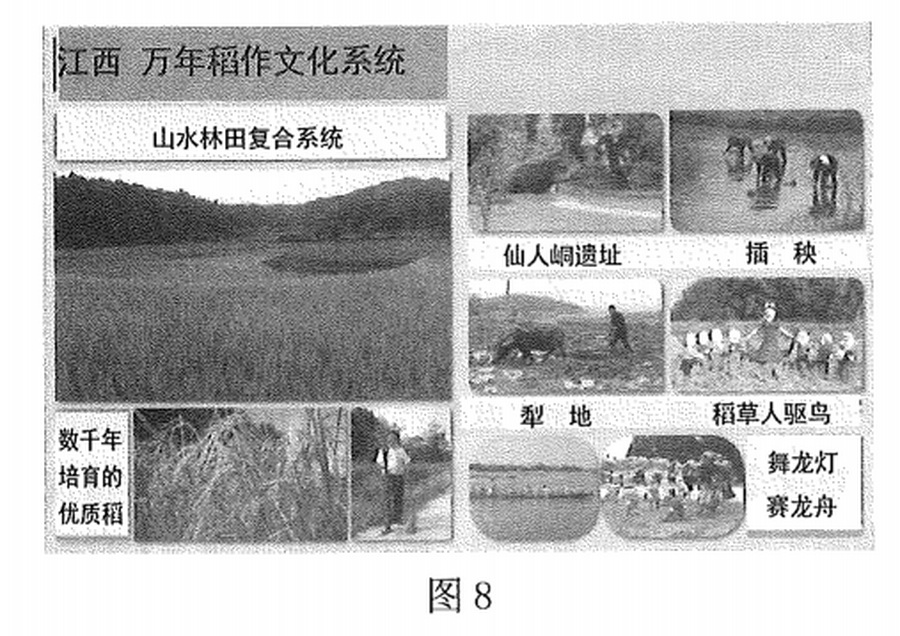 图片13.jpg