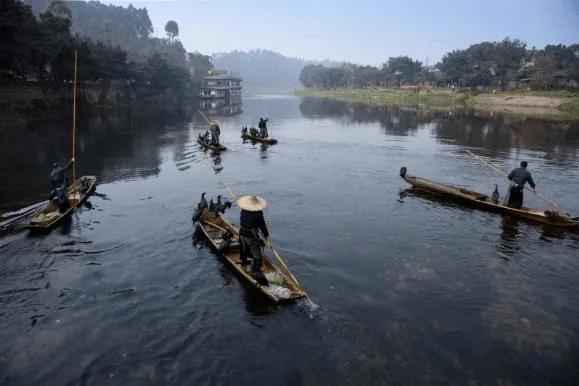 3.webp.jpg 3.webp.jpg